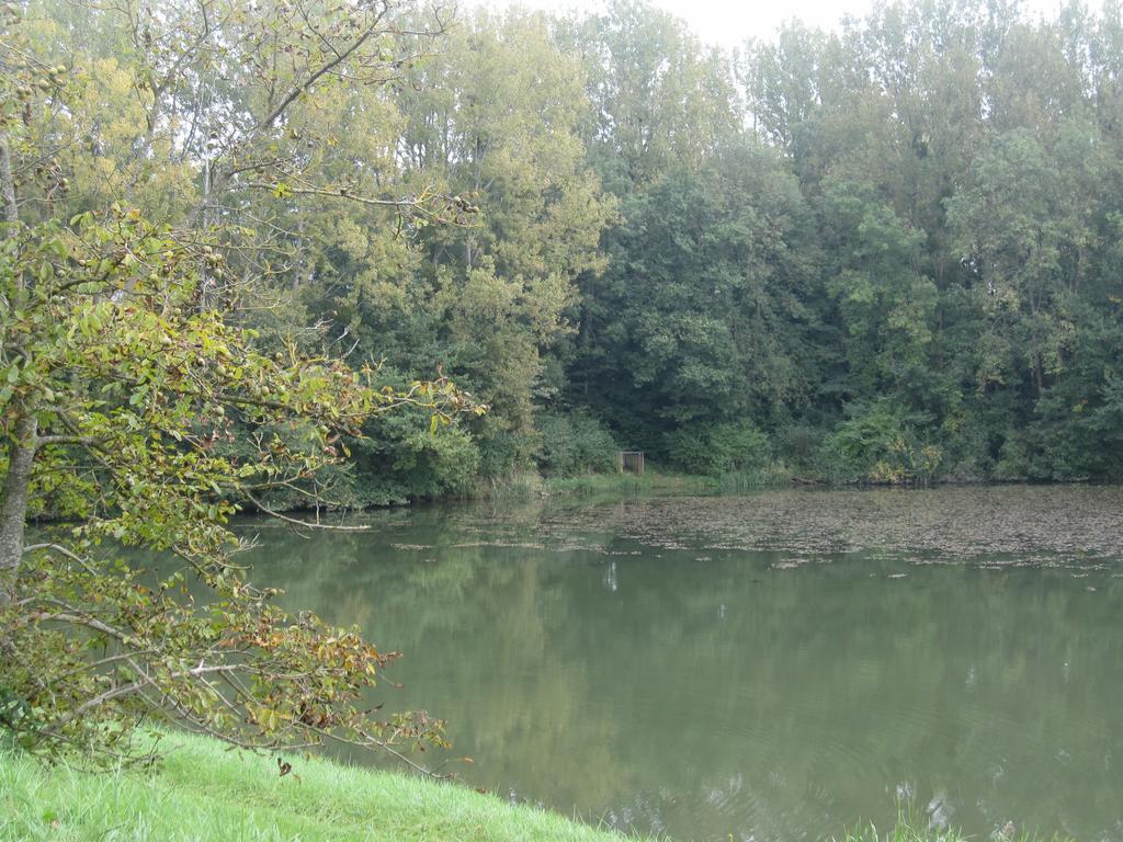 Hotel La Coutrotte Becquine Heuilley-sur-Saone Exteriér fotografie